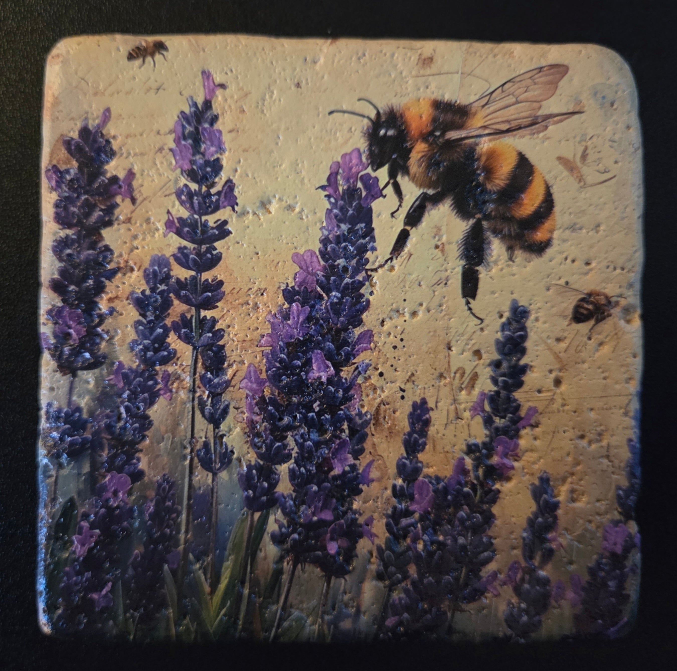 Buzz Around Coaster Set